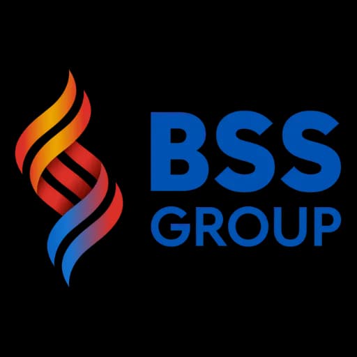 BSS Group